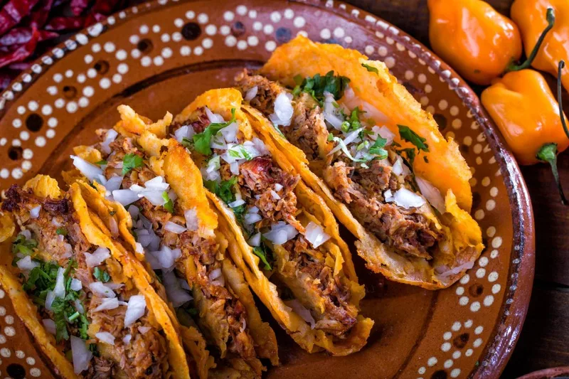 Crispy birria tacos topped with onion and cilantro on a clay plate